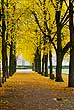 Autumn in Bonn